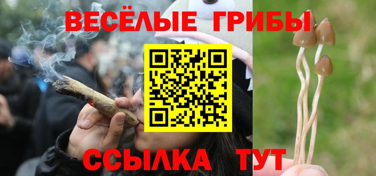 Галлюциногенные грибы мухоморы  Псилоцибиновые грибы Cubensis  Топки  продажа наркотиков  Вход с VPN 